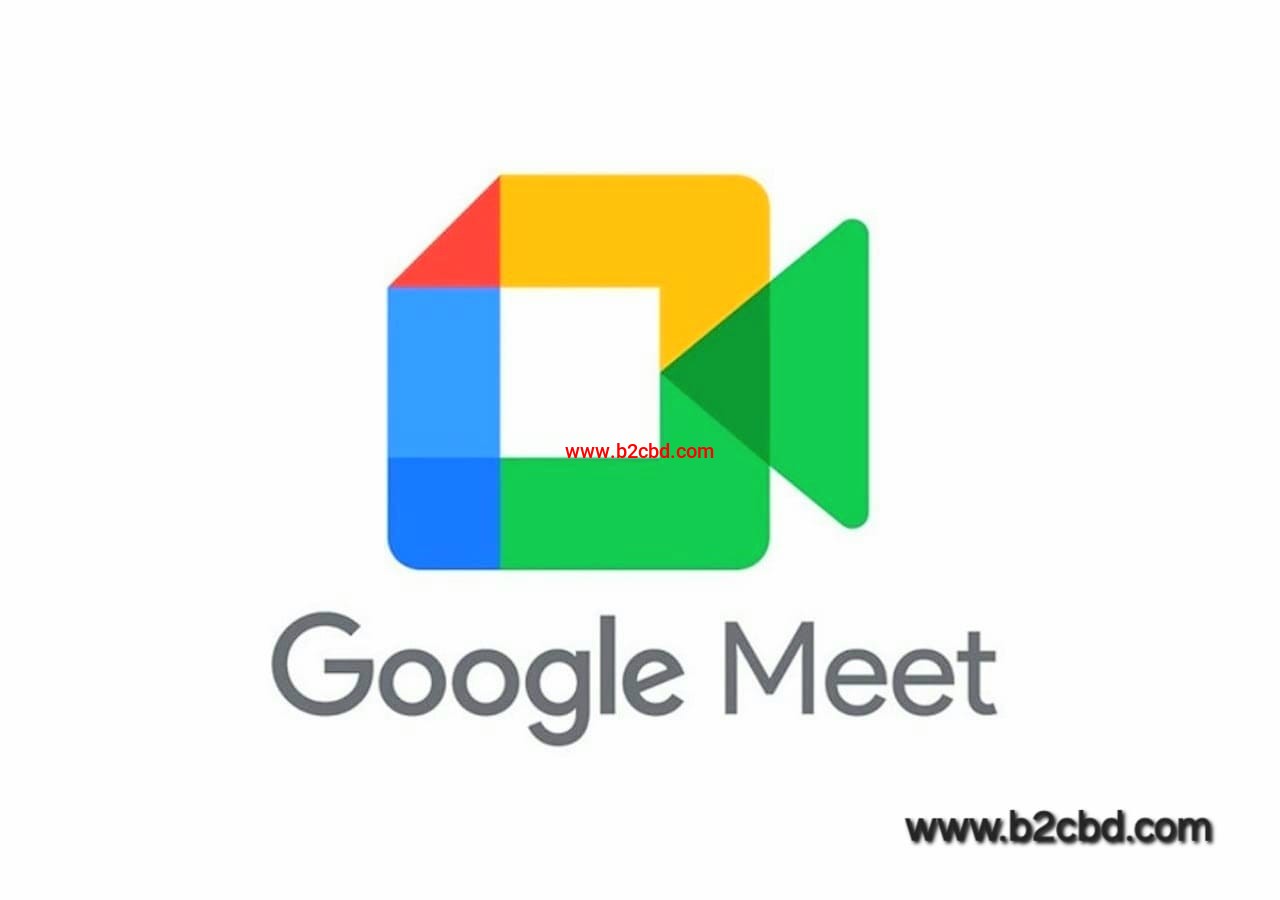 Google Meet (Premium)